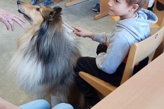 Hund