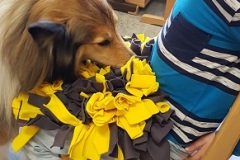 Hund1