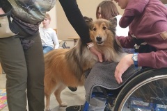 Therapiehund-Claudia10