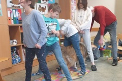 Therapiehund-Claudia17